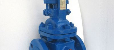 Jacketed Gate Valve