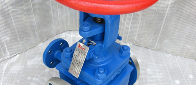 Jacketed Globe Valve