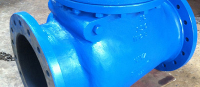 Jacketed Swing Check Valve NRV