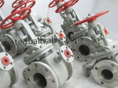 video-jacketed-gate-valve