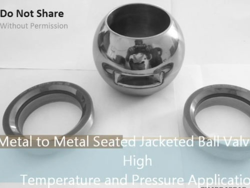 video-metal-seal-valve